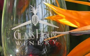 wine glass and bird of paradise