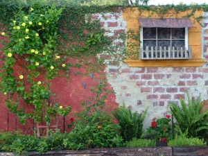 Image of a garden wall