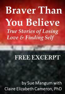 cover draft by C E Cameron