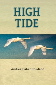 Front cover of High Tide