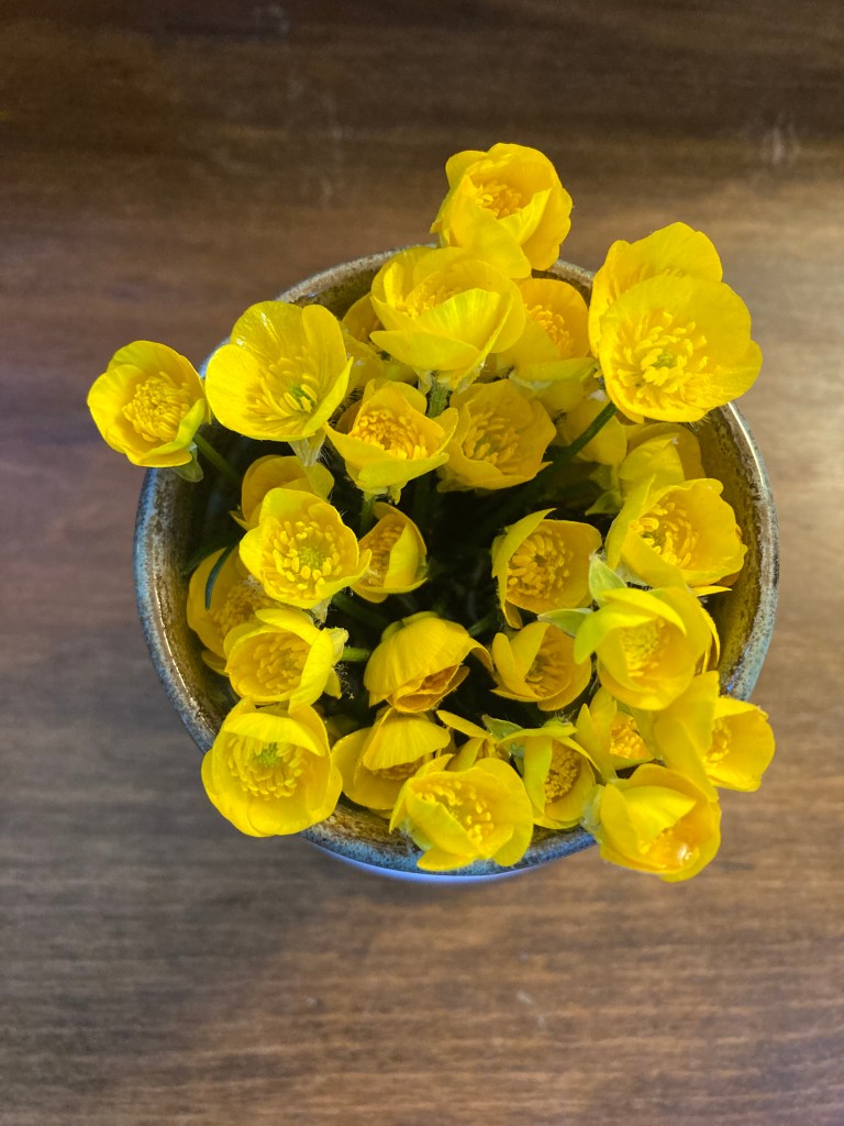 A cup of buttercups